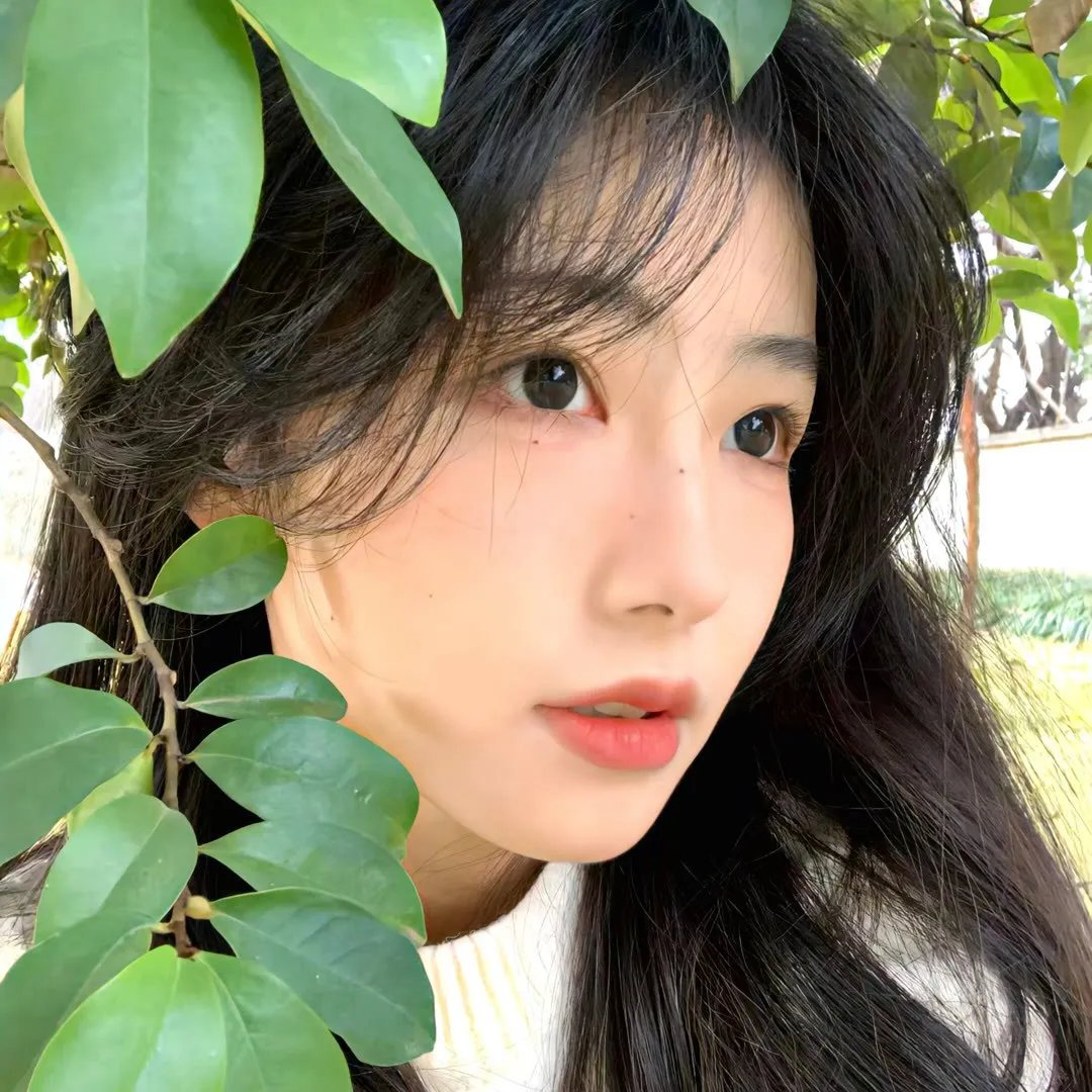共和国血脉